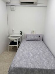 Clementi Park (D21), Condominium #511629091
